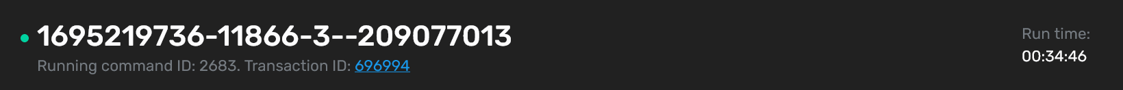 Header of the page with command details