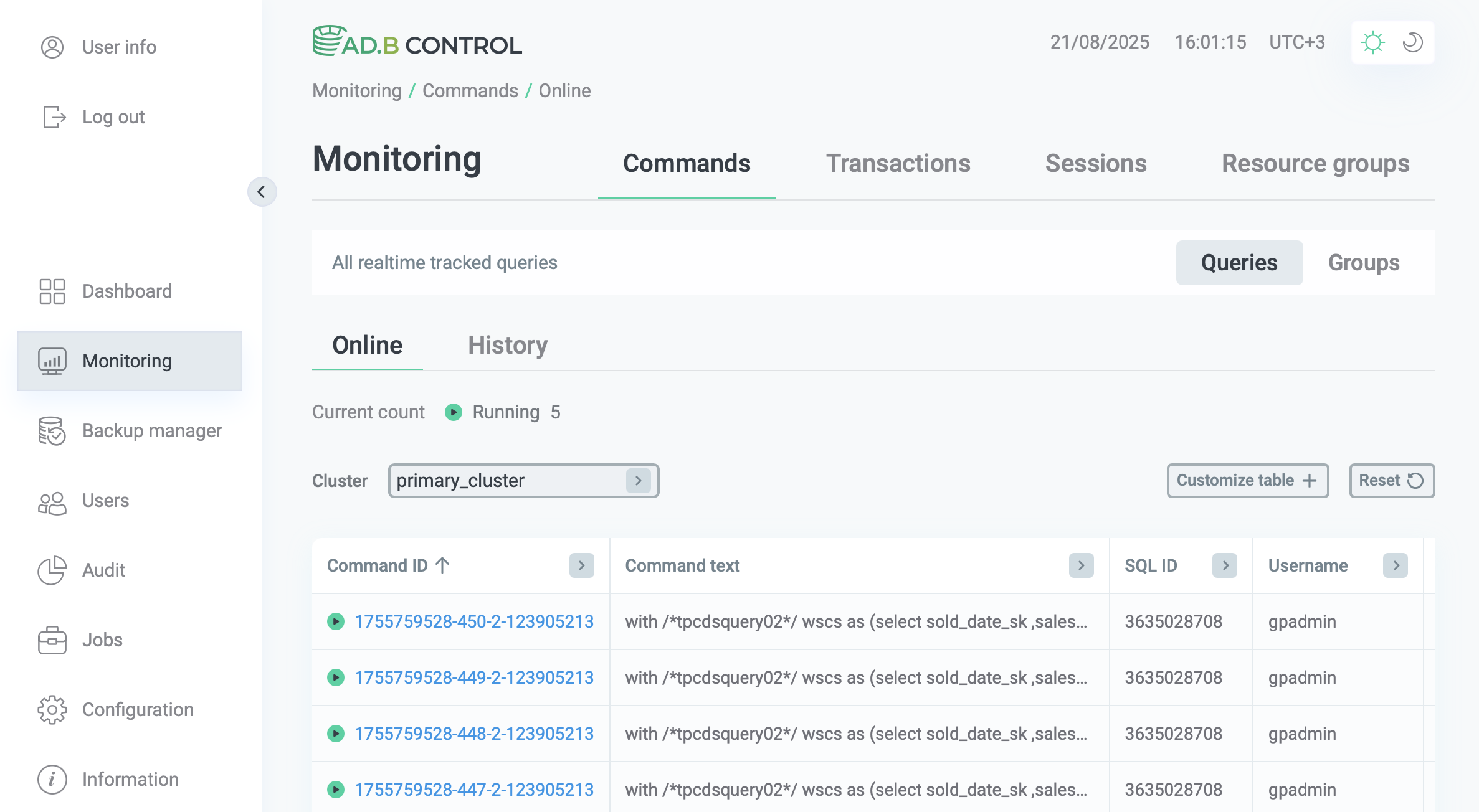 The Monitoring → Commands → Queries → Online tab