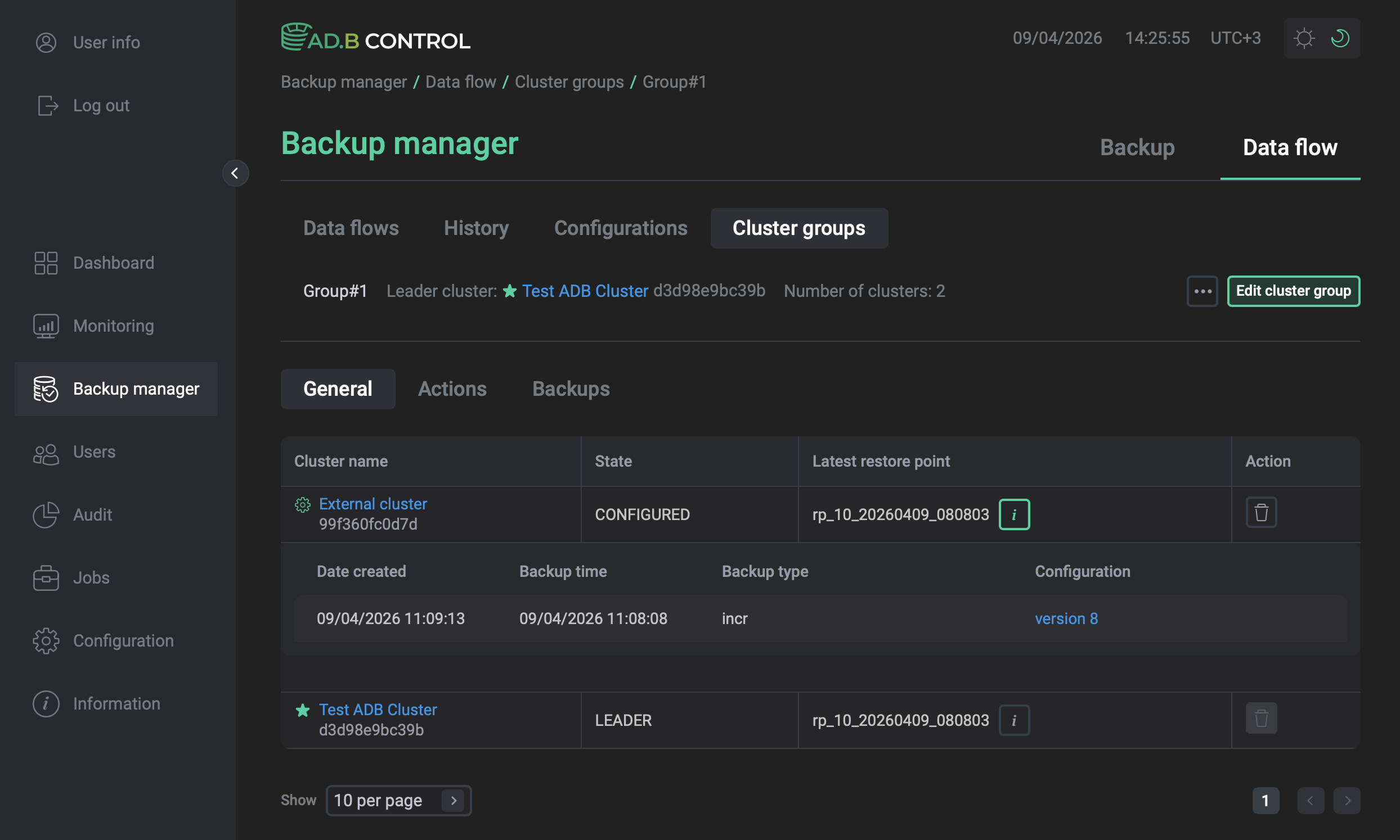 Restore point details