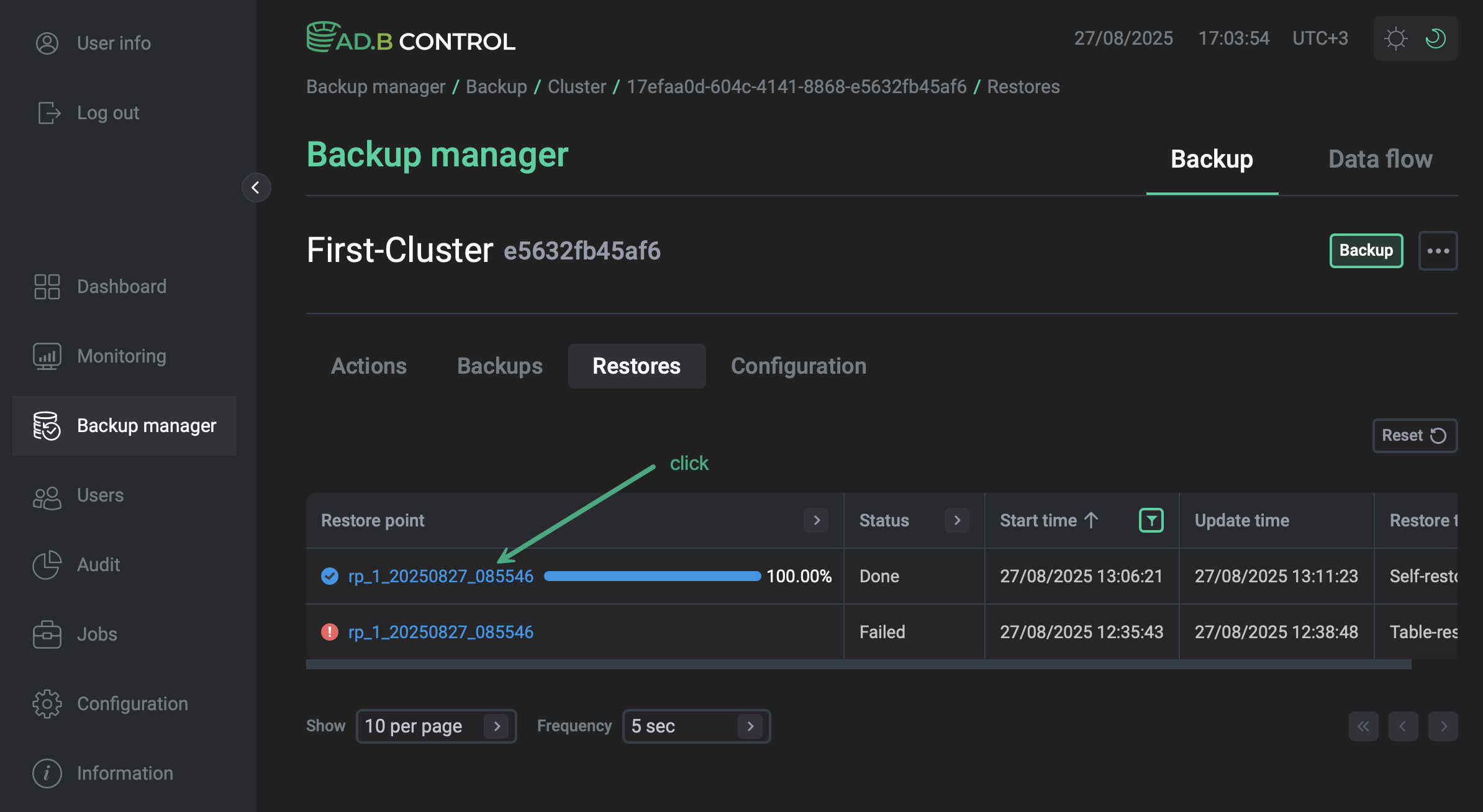 Select a restore operation