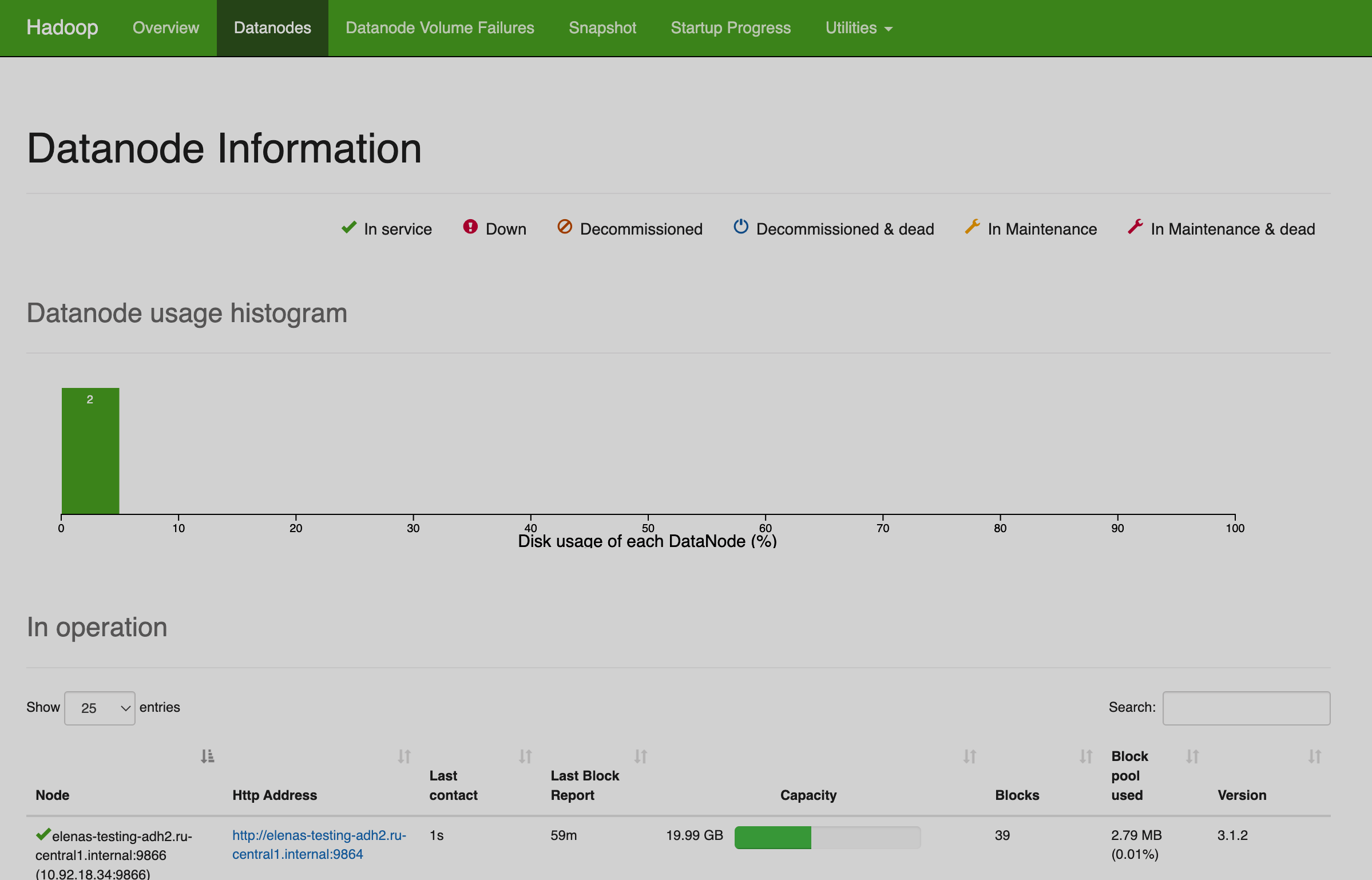 NameNode UI: Datanodes page