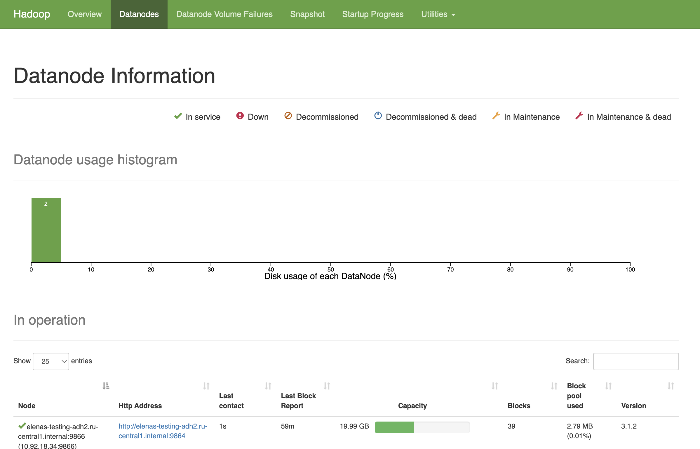 NameNode UI: Datanodes page