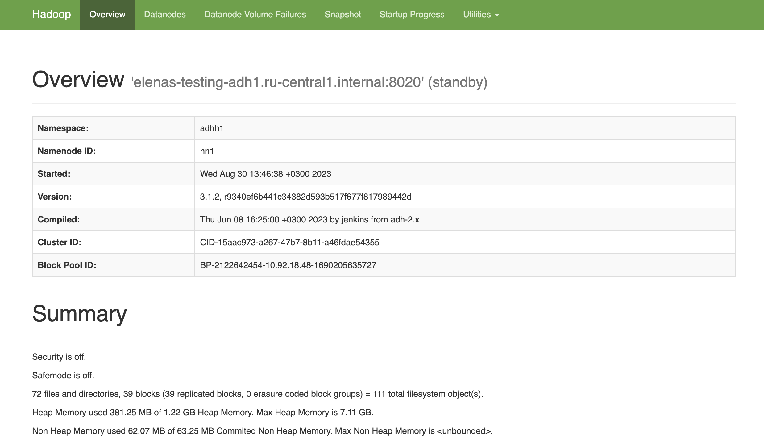 NameNode UI: Overview page