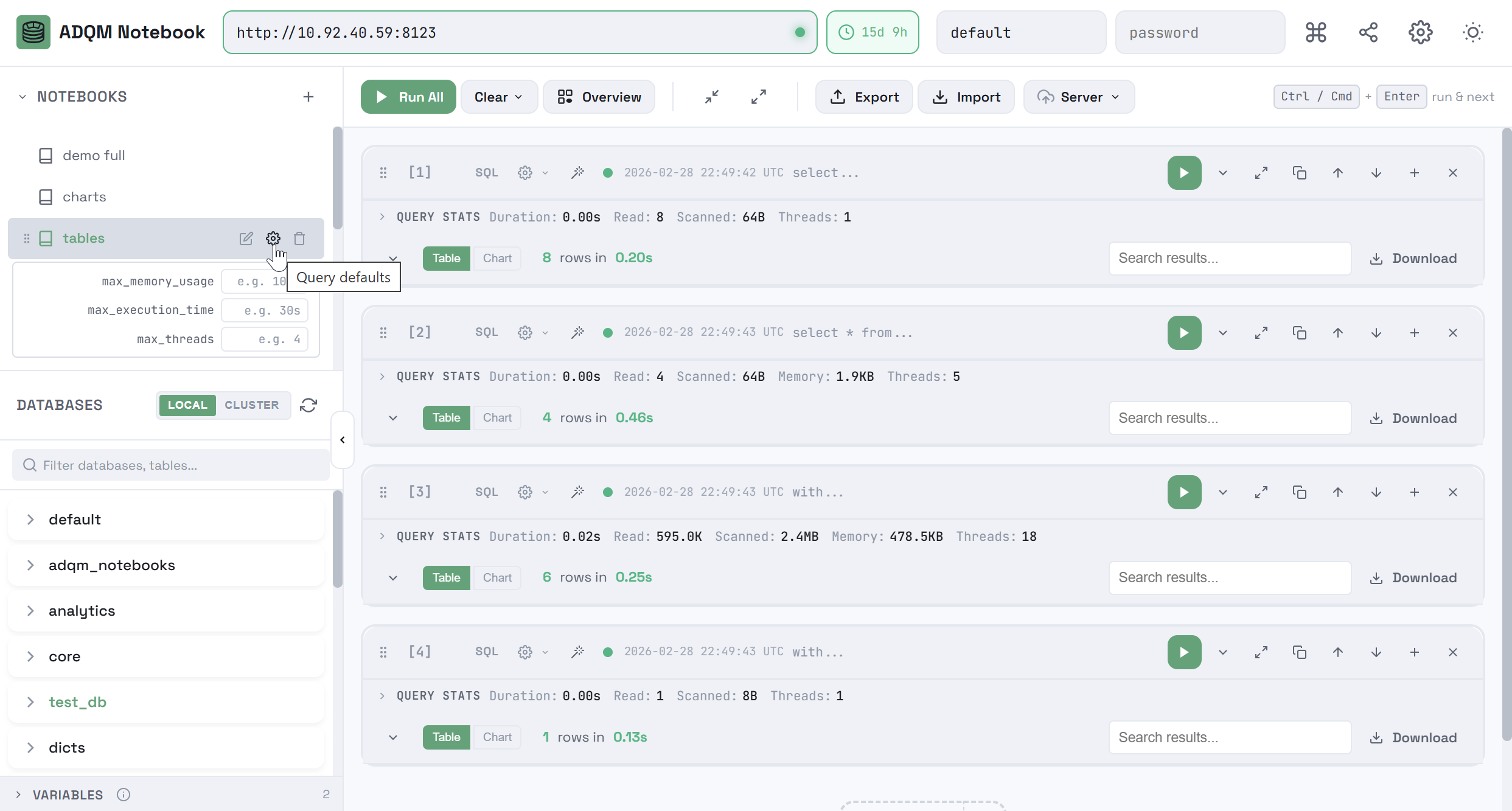 Execution parameters for queries in a notebook