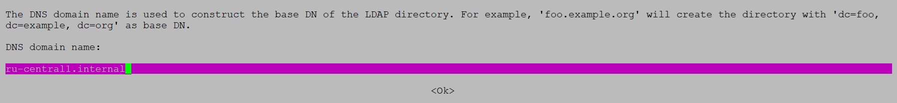 Ввод DNS domain name