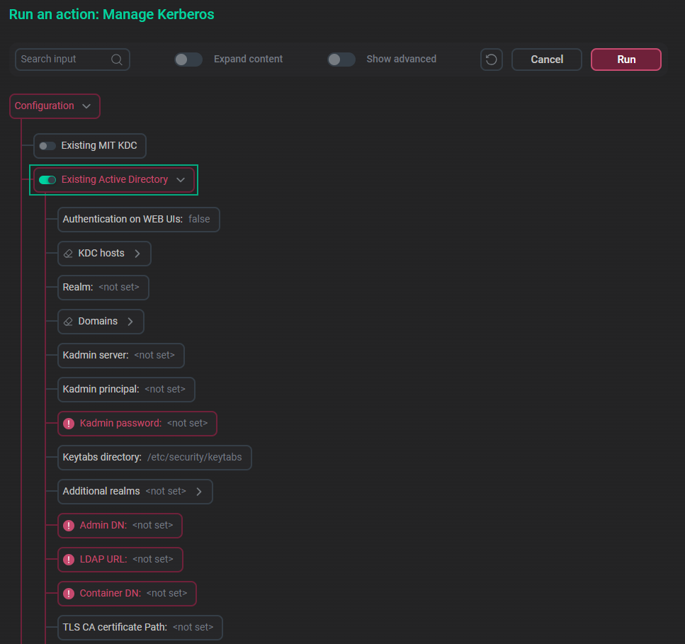 Группа параметров настройки Existing Active Directory