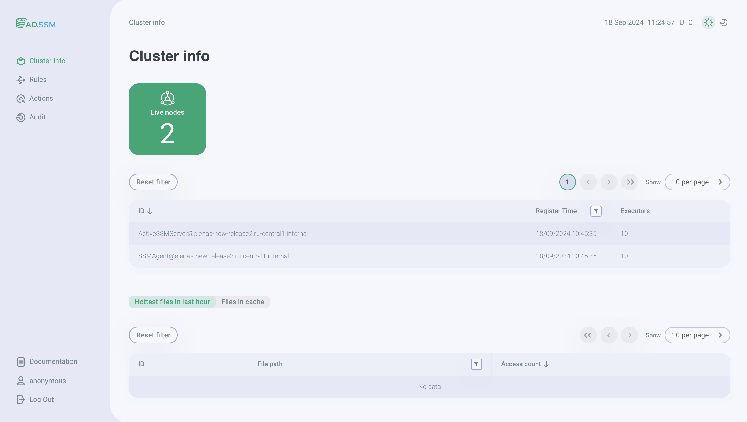 Cluster Info