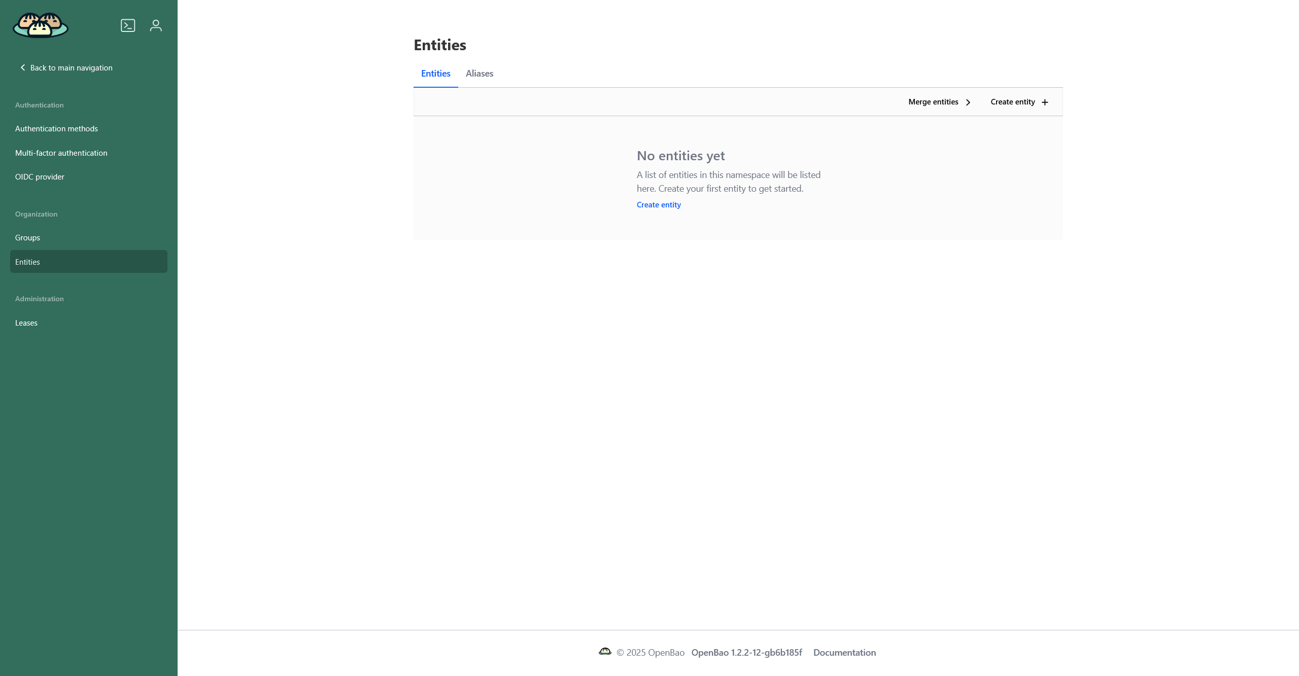 Страница entities