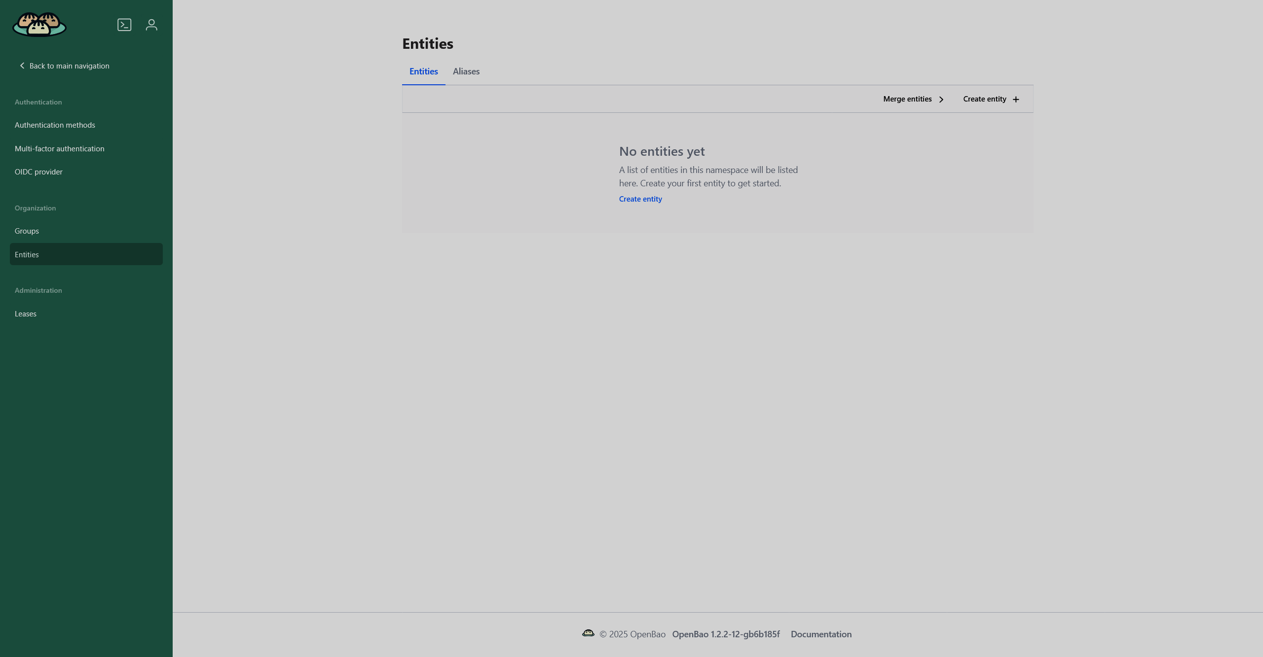 Страница entities